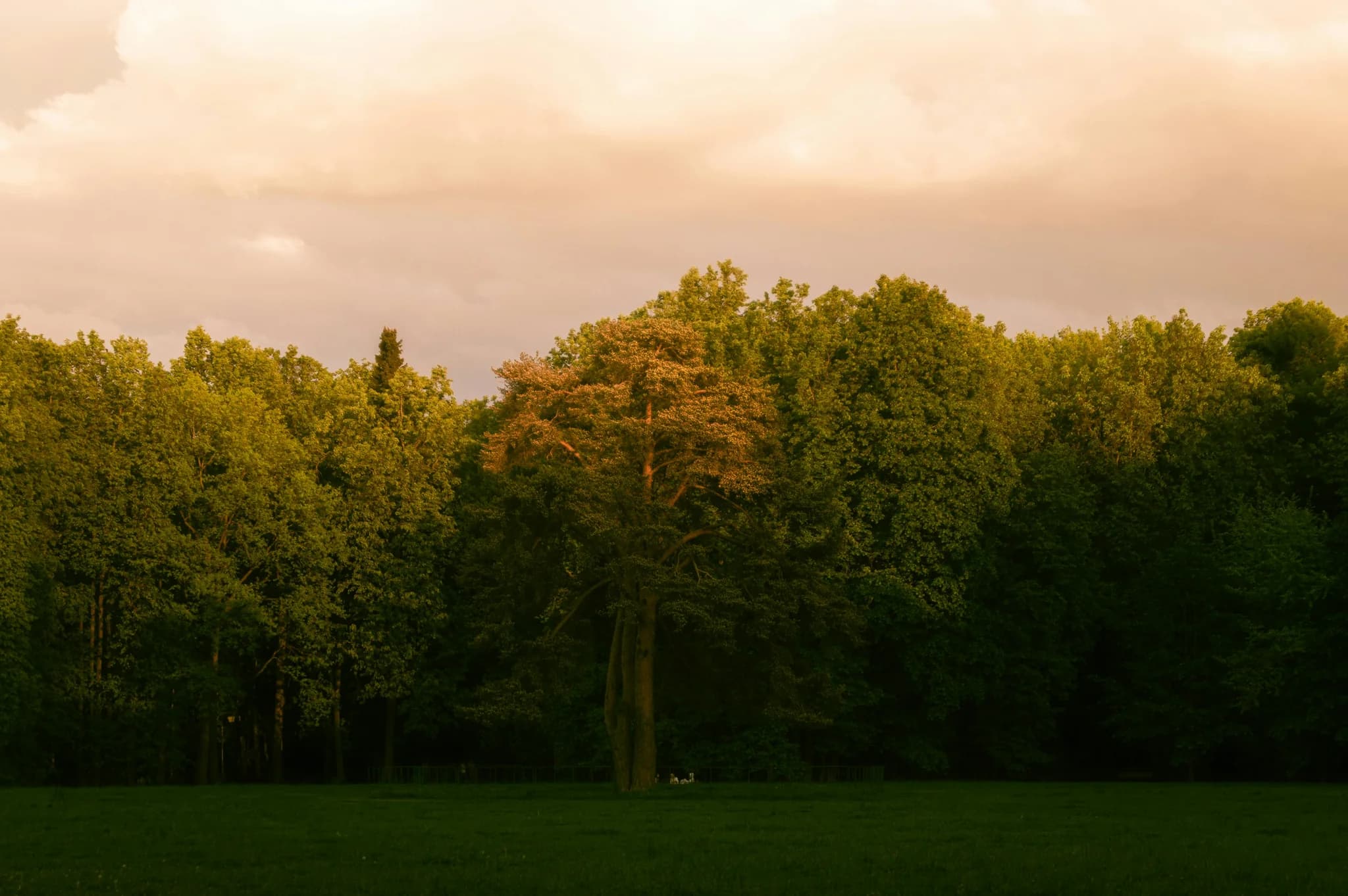 How to Grow Your Reddit Following: The Complete 2025 Guide